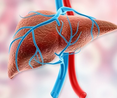 Próby wątrobowe. Przeciążona wątroba nie boli. Zbadaj to, nim zmiany będą nieodwracalne