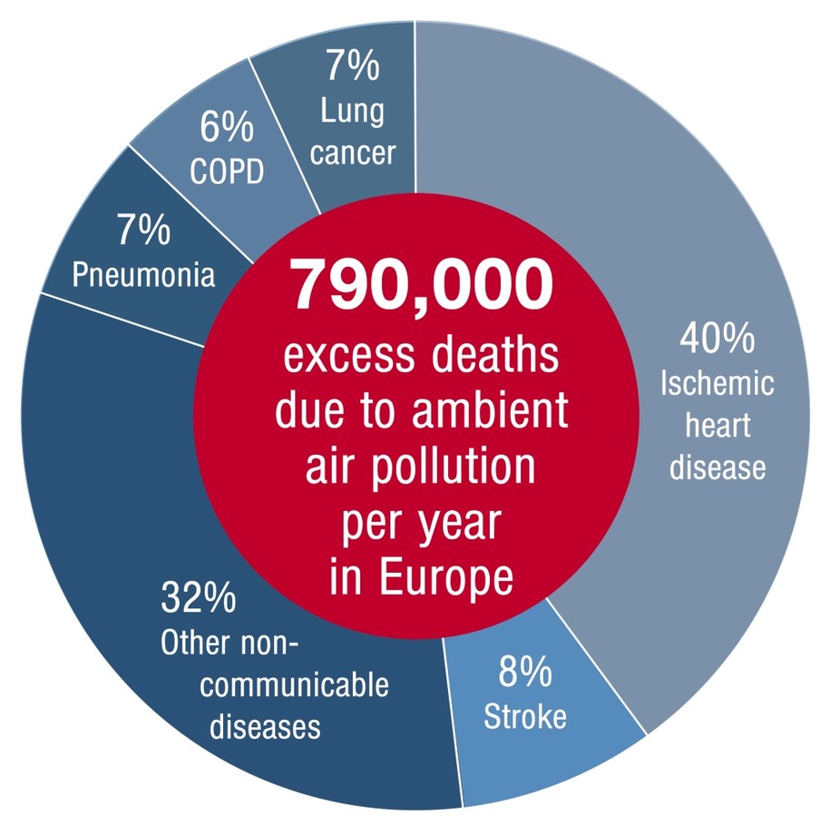 Procentowy udział chorób, prowadzących do śmierci związanej z zanieczyszczeniem powietrza /European Heart Journal /Materiały prasowe
