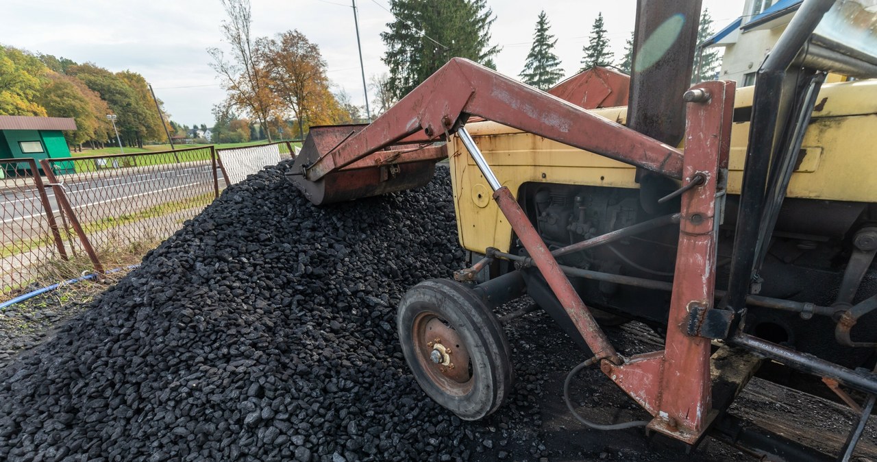 Procentowy udział węgla kamiennego w produkcji energii wzrósł w Polsce w lutym /ARKADIUSZ ZIOLEK /East News