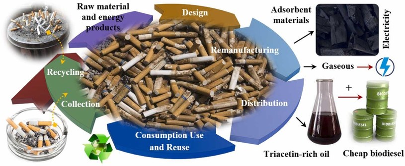Proces pozyskiwania biodiesla z niedopałków /Science Direct /materiały prasowe