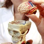 Procesor imitujący ludzki mózg