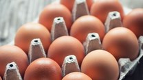 Producenci jaj wprowadzają konsumentów w błąd