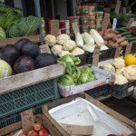 Producenci kapusty rozczarowani. Ich zdaniem ceny w skupie są zbyt niskie