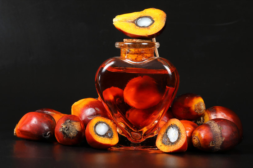 ​Producenci kosmetyków i słodyczy przestawiają się na olej palmowy z nieszkodliwych dla środowiska upraw. Nz. owoce olejowca gwinejskiego (palmy olejowej) /123RF/PICSEL