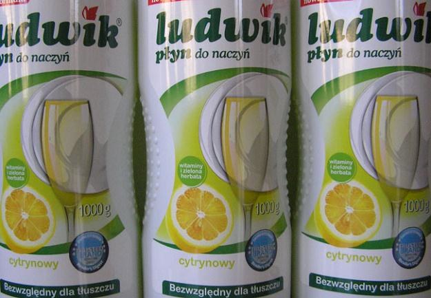 Producent płynu do mycia naczyń "Ludwik" przez 10 lat nielegalnie ustalał minimalne ceny /INTERIA.PL