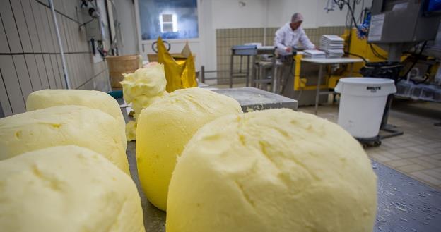 Produkcja masła we Francji jest za mała (nz. mleczarnia w Echire) /AFP