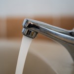 Produkcja mięsa odbiera czystą wodę. Wystarczy ograniczyć jedzenie go