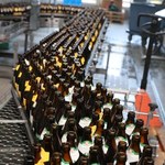 Produkcja piwa nie zwalnia. Polska w czołówce krajów UE. Drugie miejsce zaskakuje