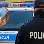 Produkowali nielegalne leki na potencję. Policja zatrzymała sprawców i ponad 800 tys. tabletek