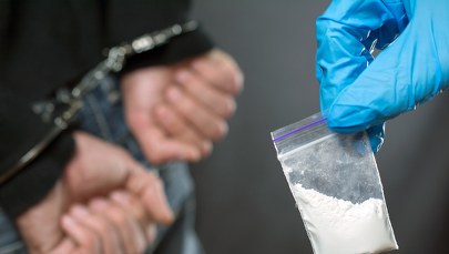 Produkowali środki psychotropowe i handlowali z Czechami