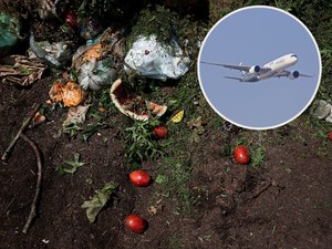 Produkują biopaliwo do samolotów i statków z odpadów