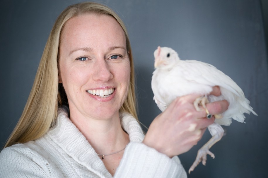 Prof. Hanne Løvlie, Linköping University z... kurą /Anna Nilsen/LiU /Materiały prasowe