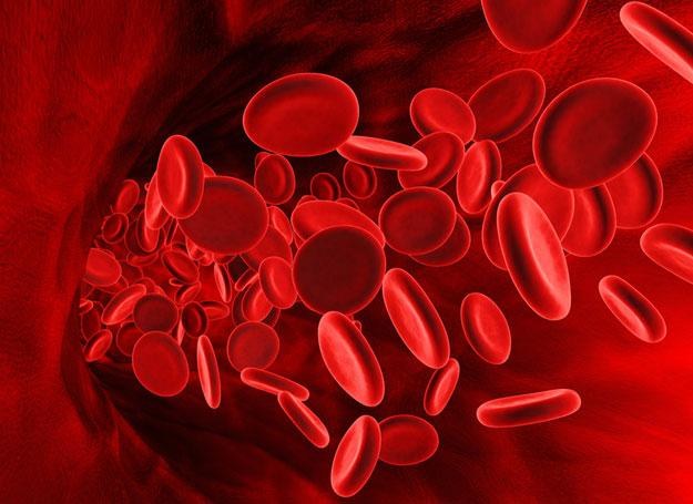 Profilaktyczne badanie krwi wykrywa ostrą białaczkę /&copy; Panthermedia