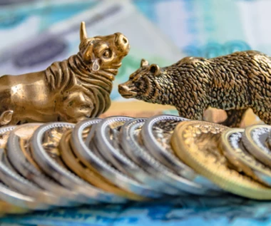 Prognoza dla inwestorów. Będą wybierać między dolarem a złotem i srebrem
