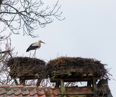 Prognoza na weekend. Pogoda nie będzie rozpieszczać