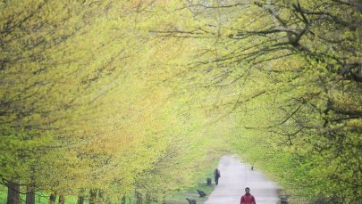Prognoza pogody: Bardzo ciepła sobota, a później ochłodzenie