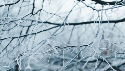 Prognoza pogody: Czy to powrót zimy?