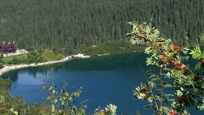 Prognoza pogody: Dziś burze, jutro deszczowo