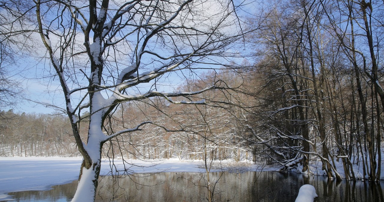 Prognoza pogody. IMGW: Polska podzielona. Sprawdź, gdzie mróz, a gdzie ciepło
