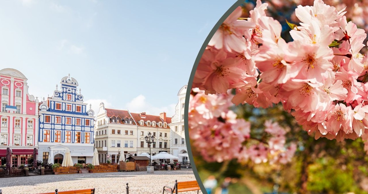 Prognoza pogody IMGW sugeruje, że w najbliższych dniach będziemy świadkami wiosennej aury. /Canva Pro /INTERIA.PL