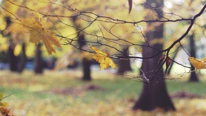 Prognoza pogody: Kiedy nadejdzie ochłodzenie?