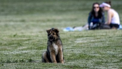 Prognoza pogody na długi weekend 