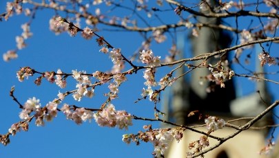 Prognoza pogody na najbliższe dni