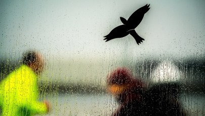 Prognoza pogody na najbliższe dni 