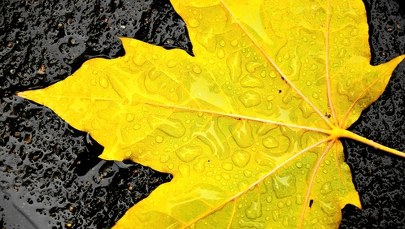 Prognoza pogody na niedzielę. Listopad pokaże prawdziwą twarz