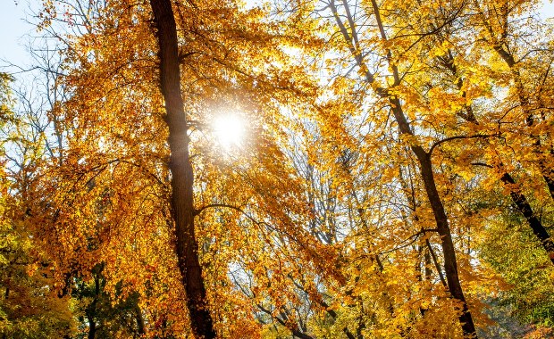 Prognoza pogody na piątek. Sprawdź, gdzie pojawią się przejaśnienia