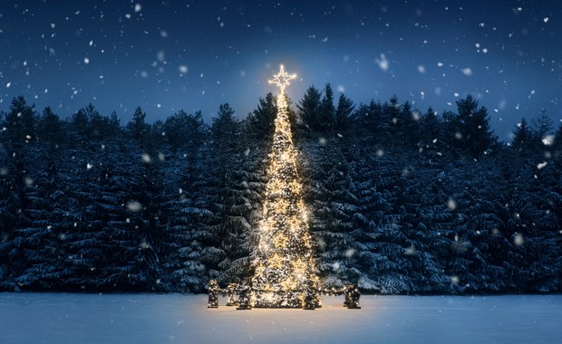 Prognoza pogody na święta Bożego Narodzenia 2021. Czy czekają nas białe święta?