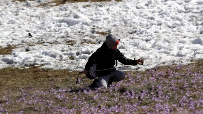 Prognoza pogody na weekend. Prawie... wiosna!