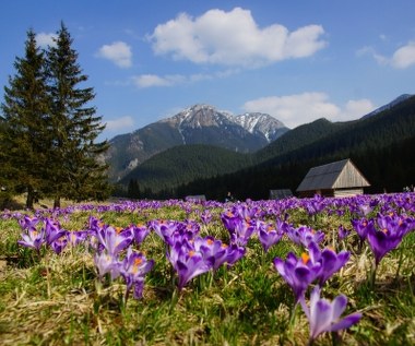 Prognoza pogody na wtorek: Silnie powieje w górach