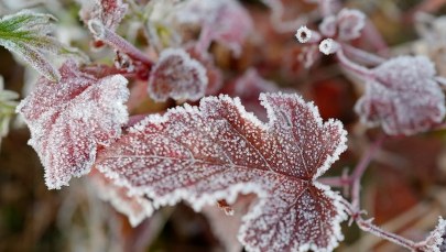 ​Prognoza pogody: Nadchodzi ochłodzenie 