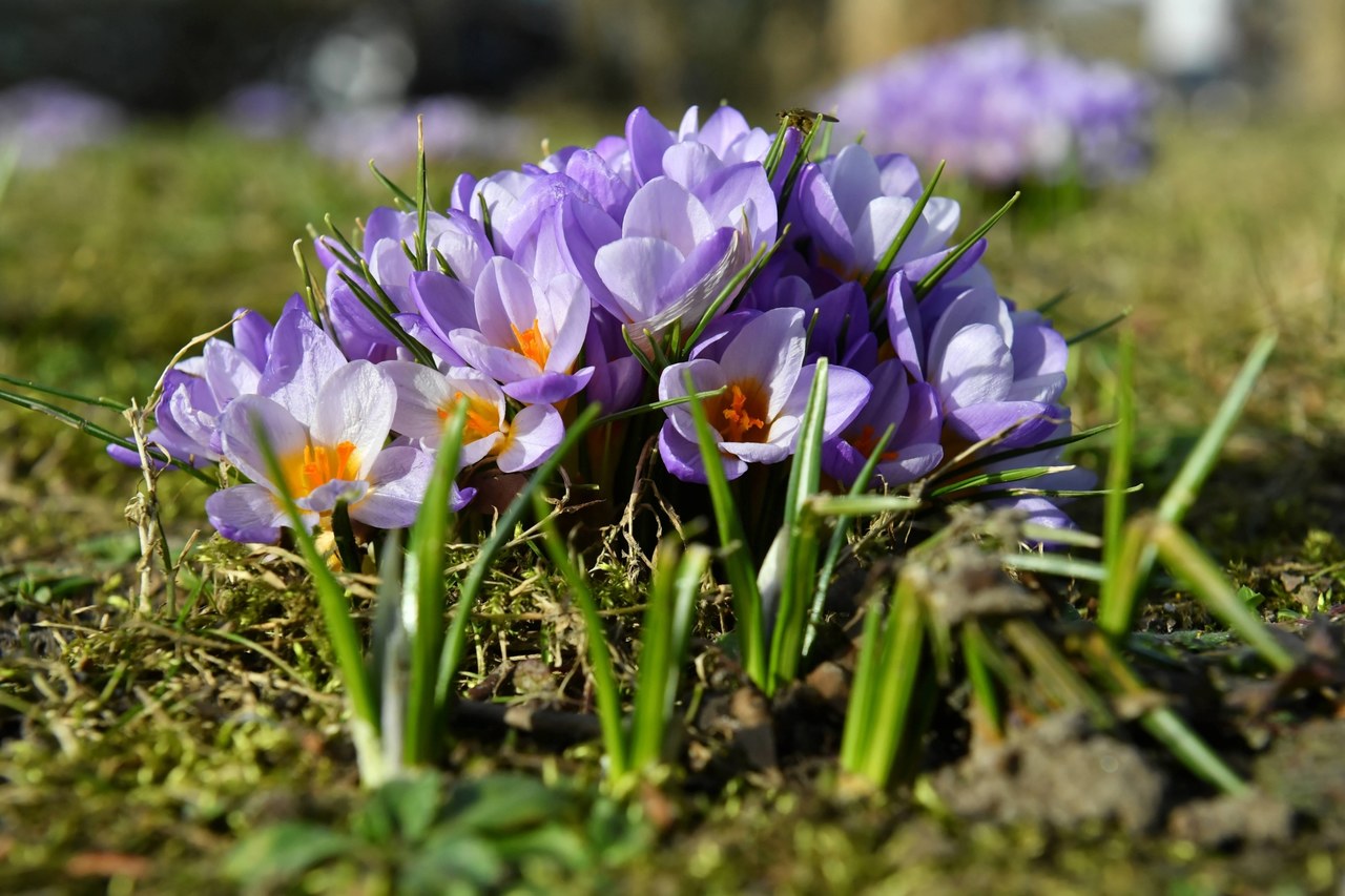 Prognoza pogody: Nawet 18 stopni w ciągu dnia. Jaki będzie weekend? 