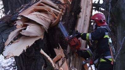 Prognoza pogody. Niż Frank nadciąga nad Polskę, będzie mocno wiać