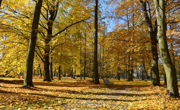 Prognoza pogody: Od środy na termometrach znów ponad 20 stopni
