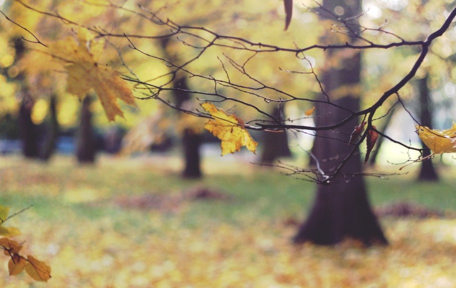 Prognoza pogody: Początek tygodnia miło nas zaskoczy! /Archiwum RMF FM