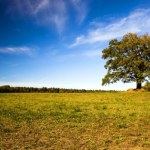 Prognoza pogody: Powrócą letnie temperatury