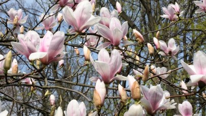 Prognoza pogody: Przed nami upalny weekend!