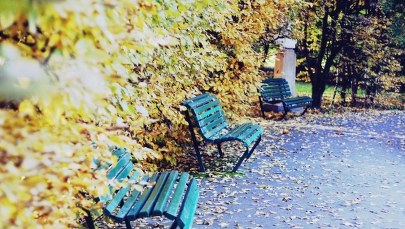 Prognoza pogody: To będzie piękny weekend!