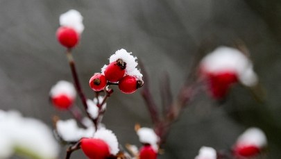 Prognoza pogody: W weekend temperatura nas zaskoczy!