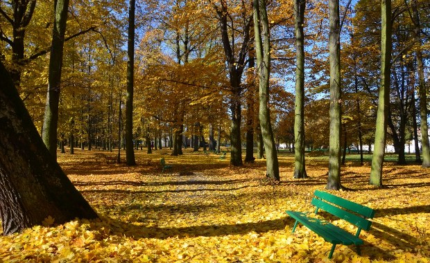 Prognoza pogody: Wyborcza niedziela będzie chłodna