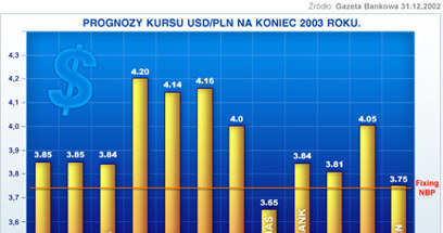Prognoza USD/PLN na koniec roku /INTERIA.PL