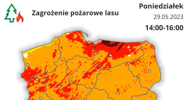 Prognoza zagrożenia pożarowego lasów w Polsce na poniedziałek /IMGW