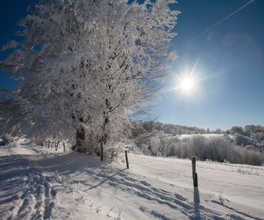 Prognozy pogody na najbliższy tydzień