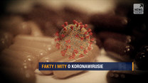 Program "Raport": Fakty i mity o koronawirusie