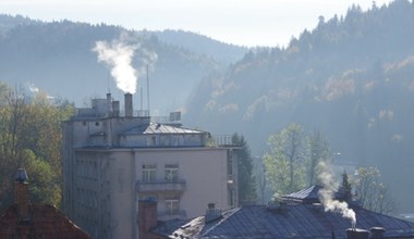 Program "Czyste Powietrze" w kryzysie. Spadek wniosków o 80 proc.