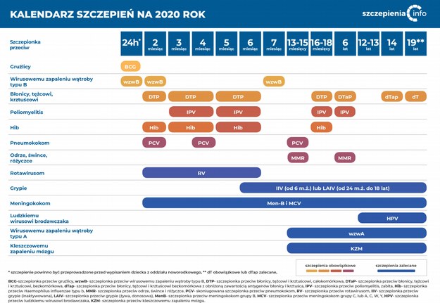 Program Szczepień Ochronnych w 2020 roku /szczepienia.pzh.gov.pl /