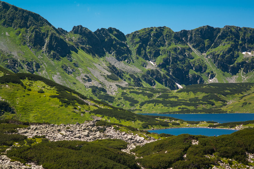 Projekt "Bezpieczni i rozważni w Tatrach" ma na celu ochronę przyrody TPN /123RF/PICSEL